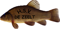 HSV De Zeelt - s Heerenberg
